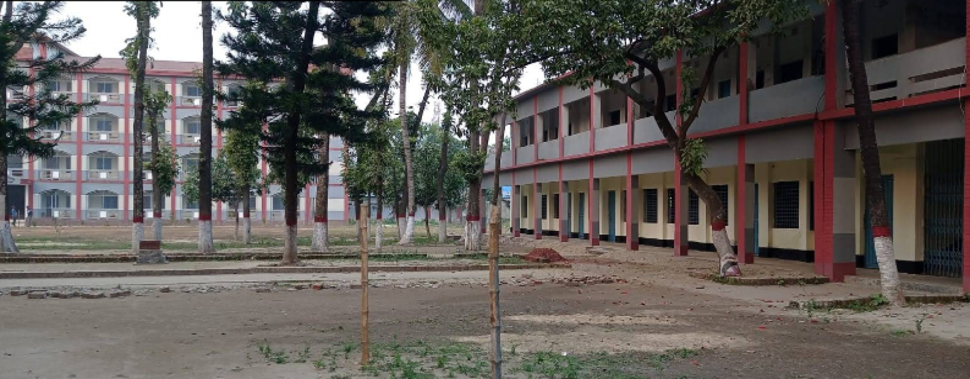 ডেমো ছবি 1