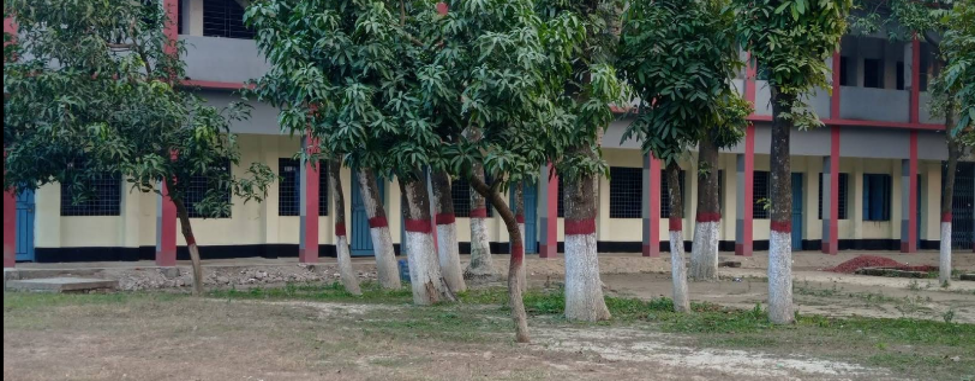 ডেমো ছবি